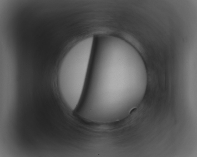 X0000101430058200807071014