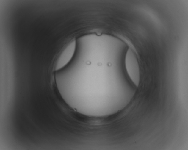 X0000101430061200807071014