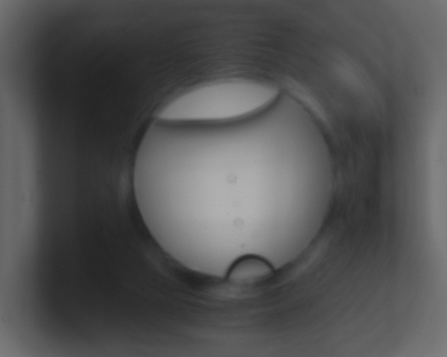 X0000101430065200807071014