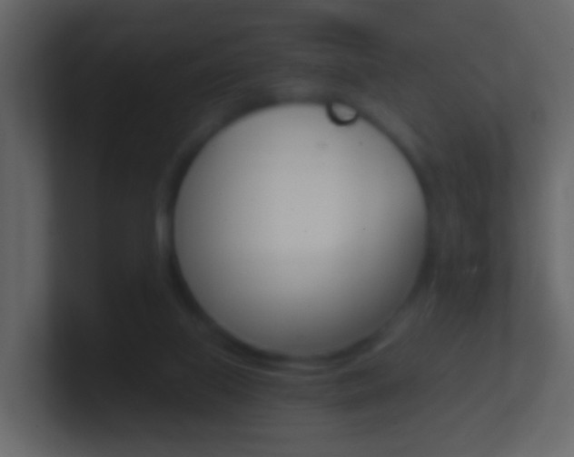 X0000101430067200807071014