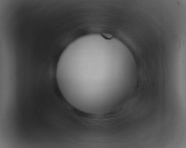 X0000101430079200807071014