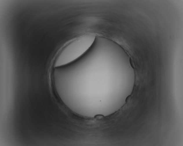 X0000101430098200807071014