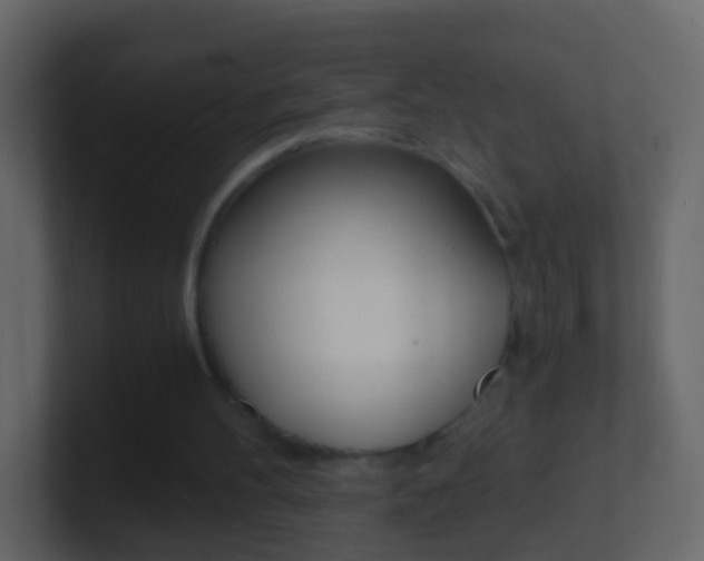 X0000101430100200807071014