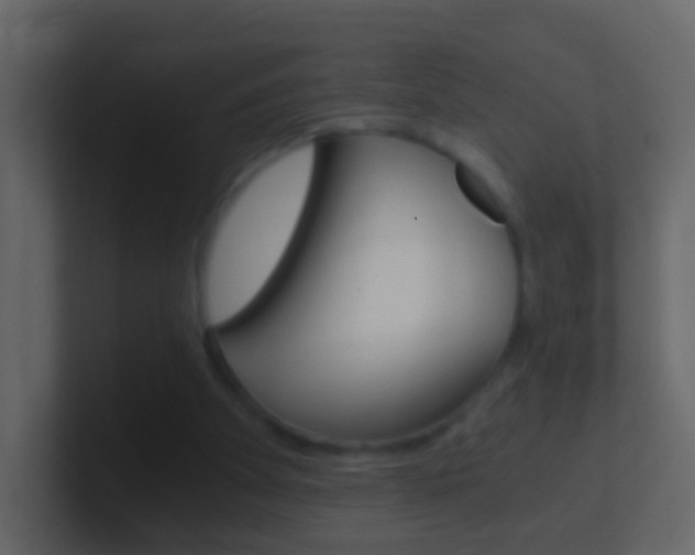 X0000101430105200807071014