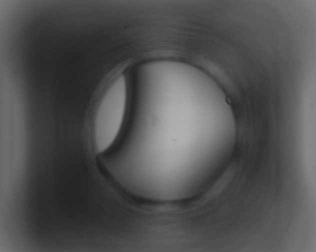 X0000101430112200807071014