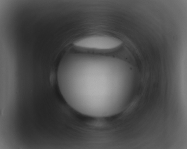 X0000101430124200807071014