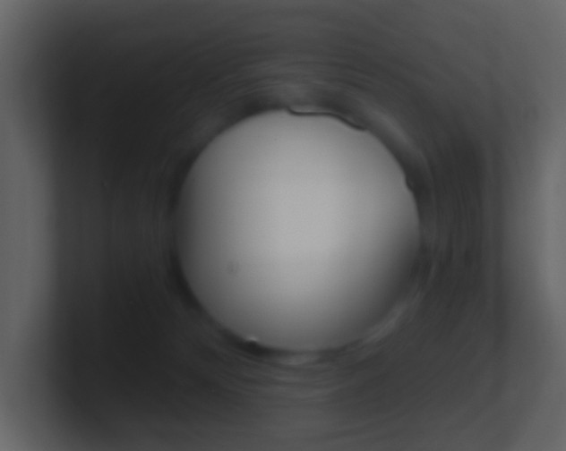 X0000101430132200807071013