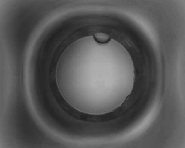 X0000101430143200807071013