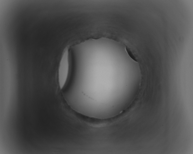X0000101430144200807071013