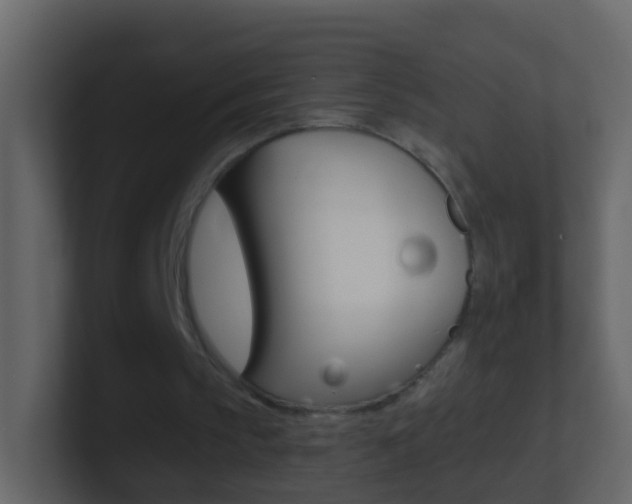 X0000101430145200807071013