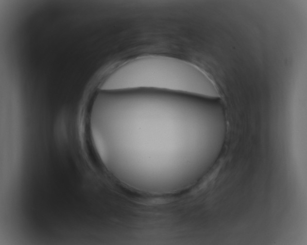 X0000101430149200807071013