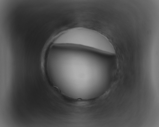 X0000101430150200807071013
