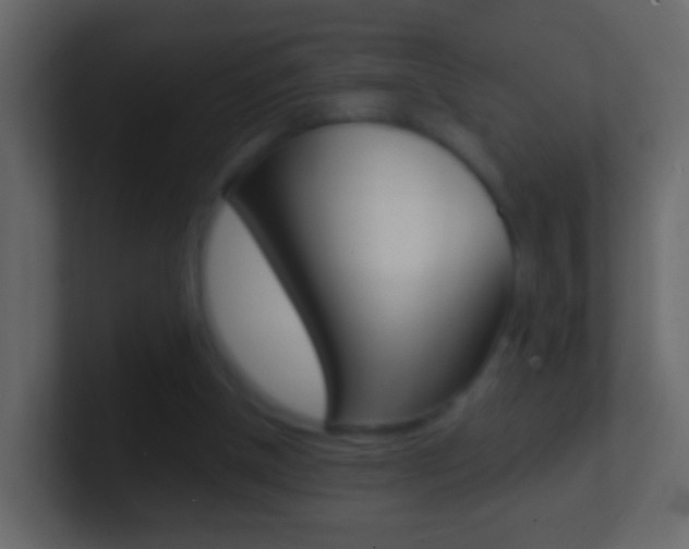 X0000101430154200807071013