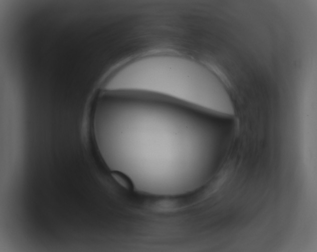 X0000101430156200807071013
