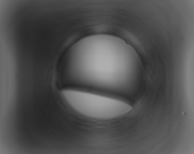 X0000101430164200807071013
