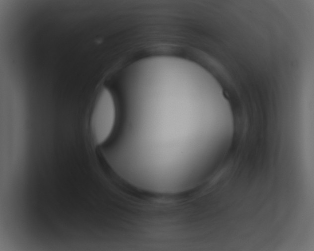 X0000101430168200807071013