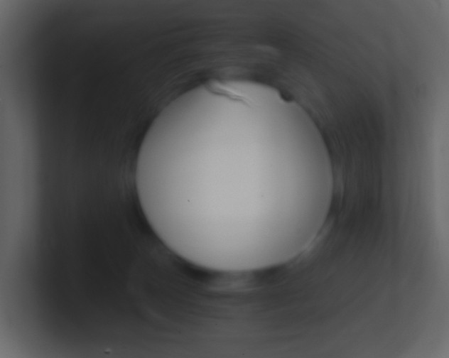 X0000101430179200807071013