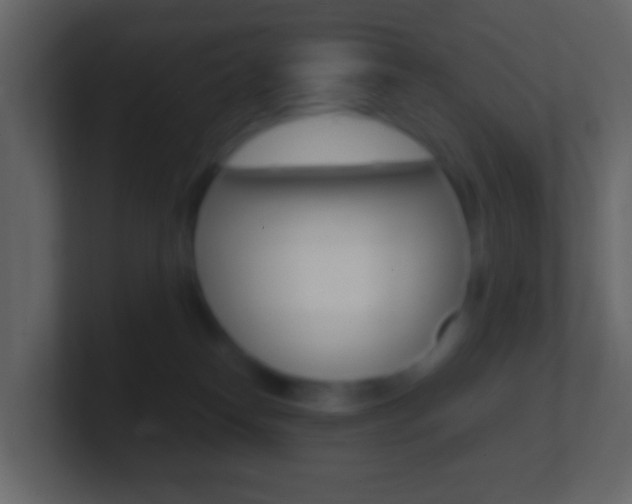 X0000101430182200807071013