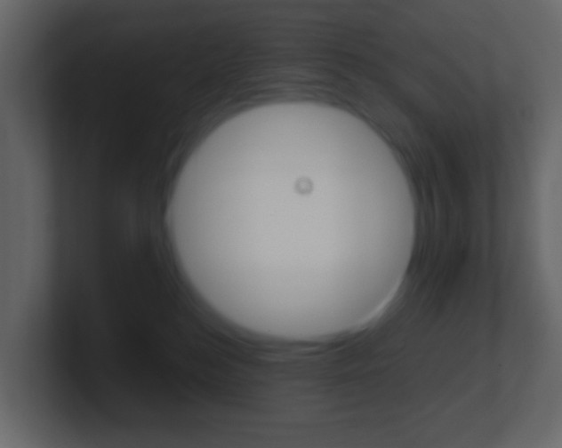X0000101430184200807071013