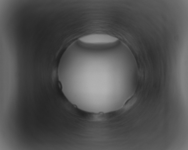 X0000101430188200807071013