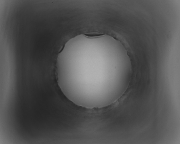 X0000101430192200807071013