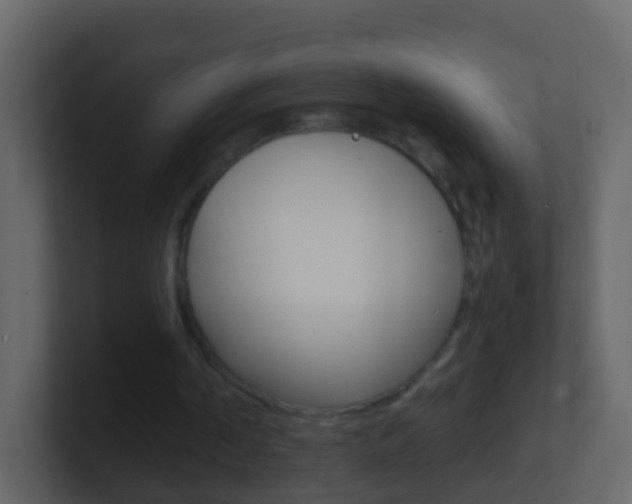 X0000101430194200807071013