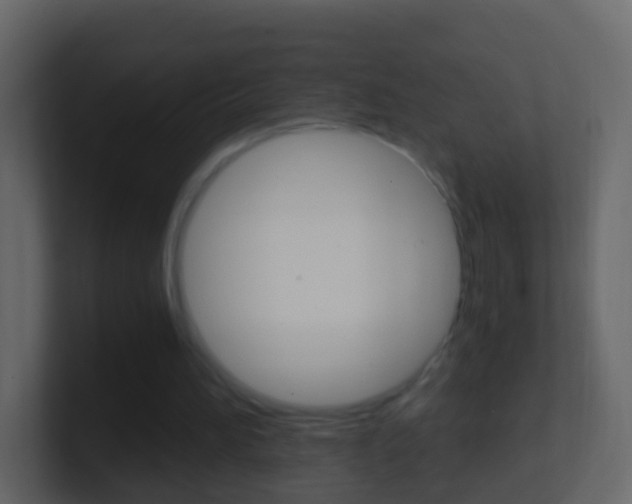 X0000101430196200807071013