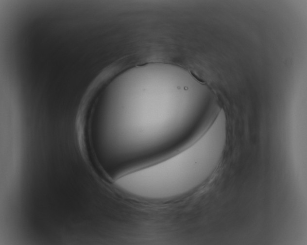 X0000101430197200807071013
