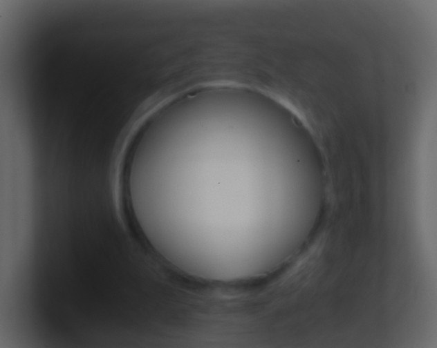 X0000101430199200807071013