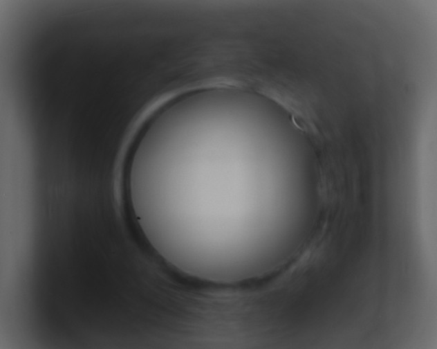 X0000101430200200807071012