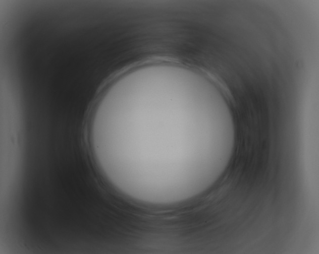 X0000101430204200807071012