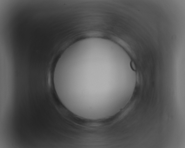 X0000101430205200807071012