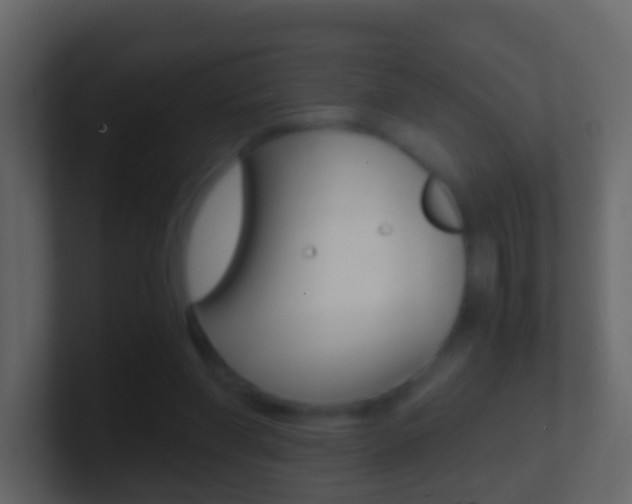 X0000101430206200807071012