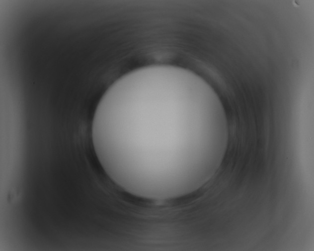X0000101430222200807071012