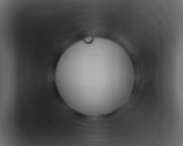 X0000101430226200807071012
