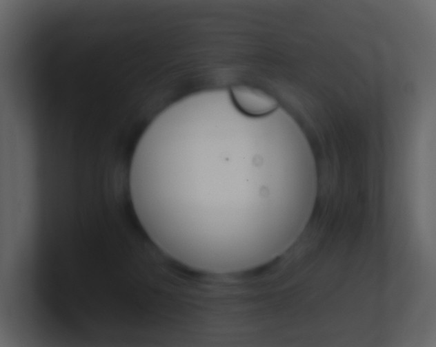 X0000101430230200807071012