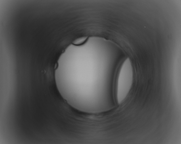 X0000101430232200807071012
