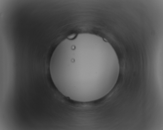 X0000101430235200807071012