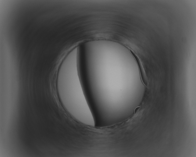X0000101430241200807071011