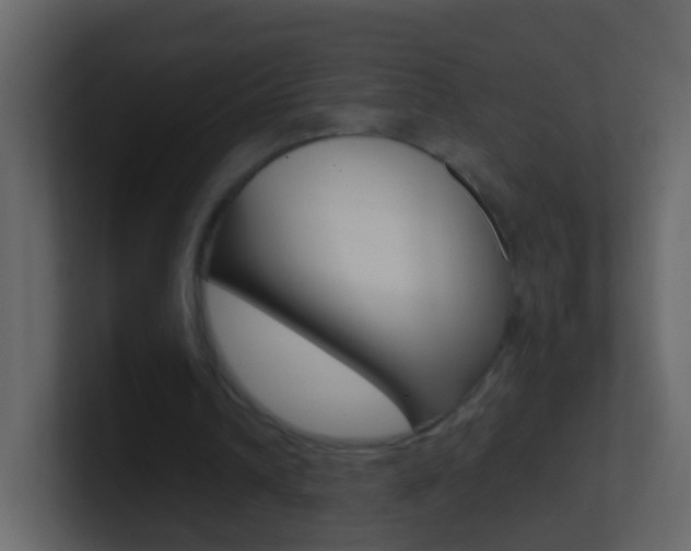 X0000101430242200807071011