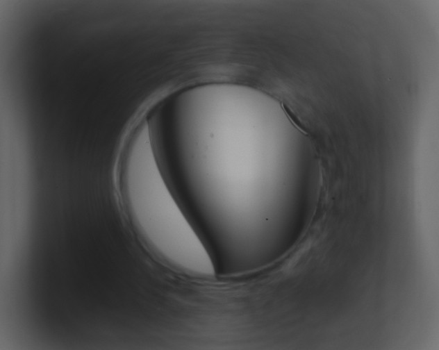 X0000101430244200807071011