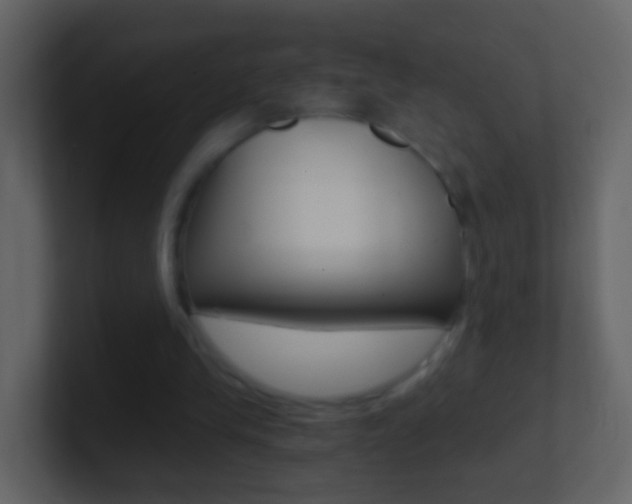 X0000101430245200807071011