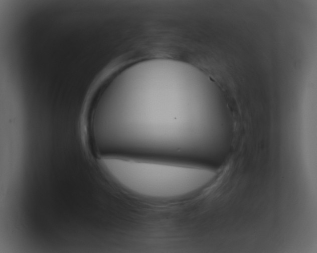 X0000101430246200807071011