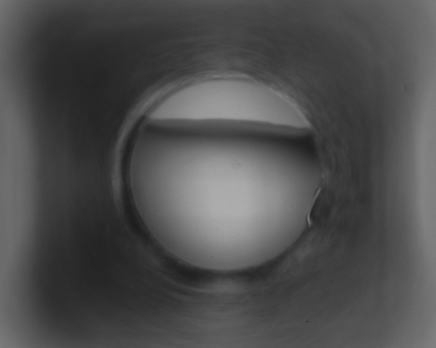 X0000101430248200807071011