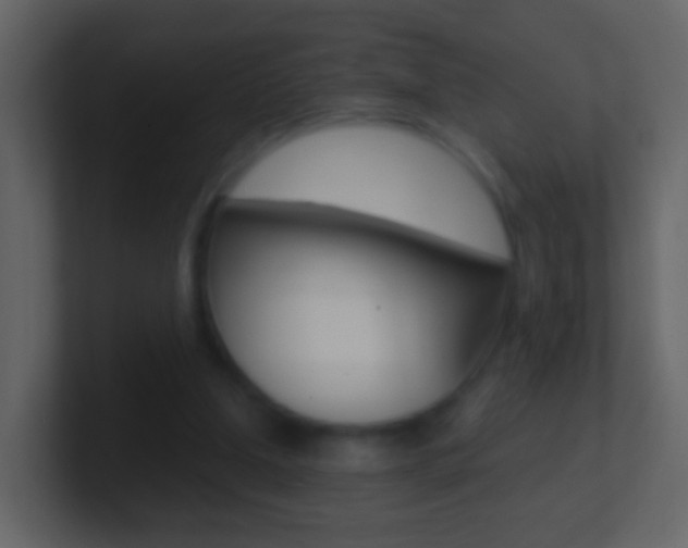 X0000101430250200807071011