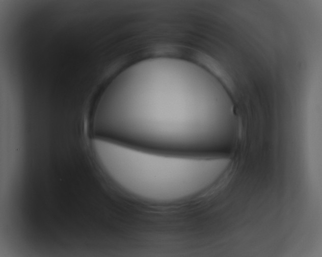 X0000101430253200807071011
