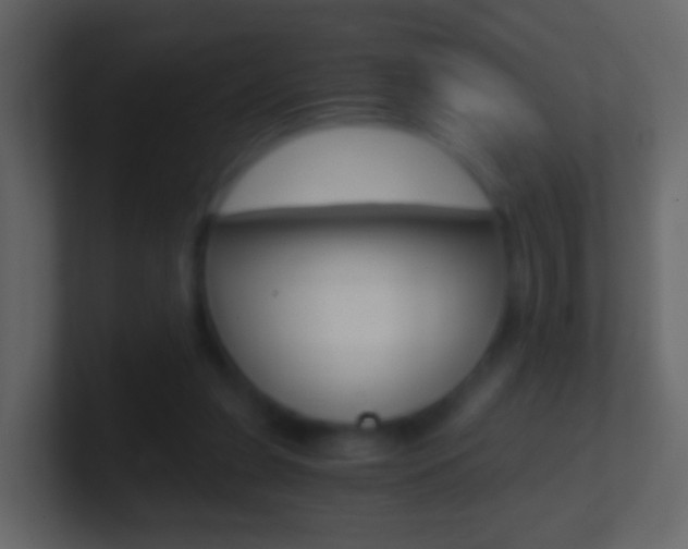 X0000101430255200807071011