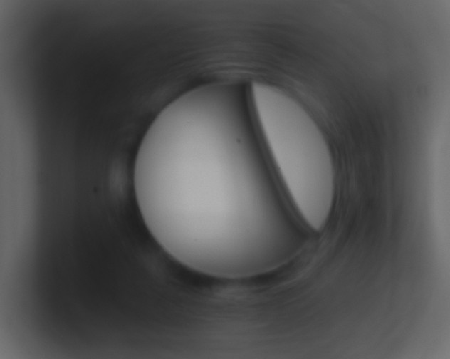X0000101430259200807071011