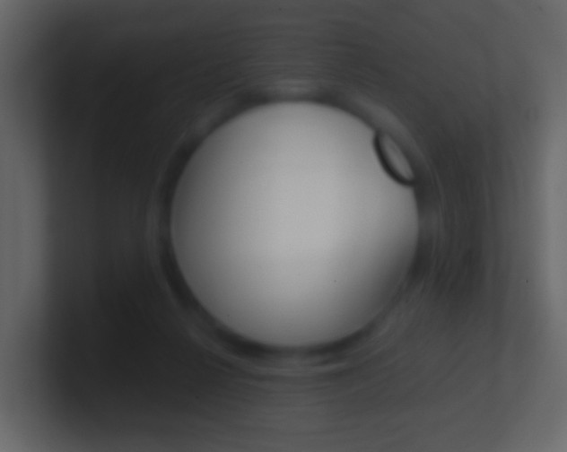 X0000101430264200807071012