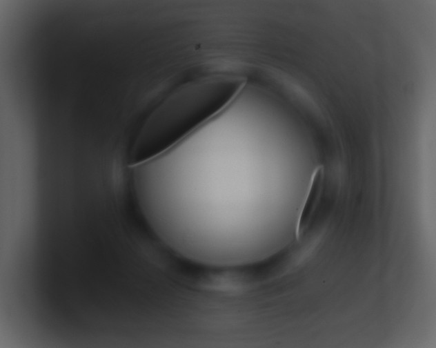 X0000101430268200807071012
